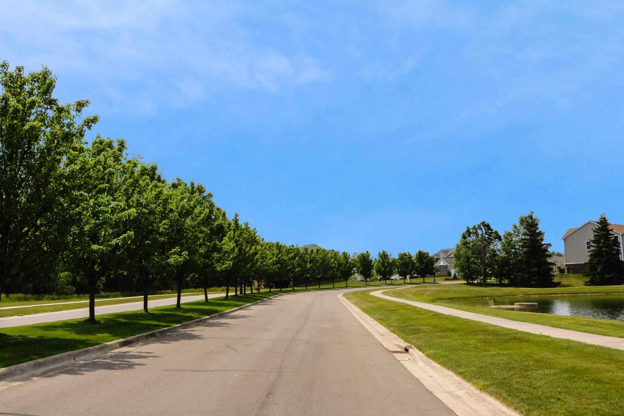 Mill River tree-lined entrance