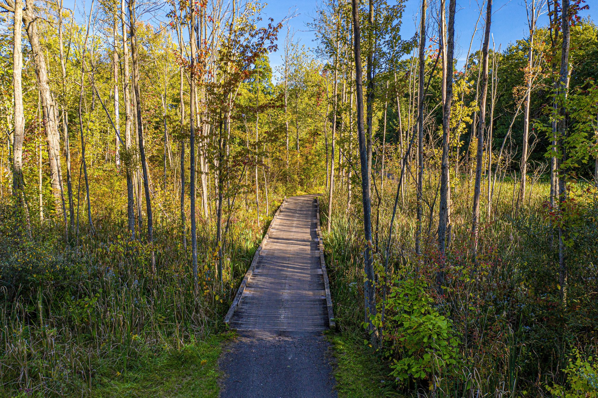 Scenic walking path around Huntmore Estates